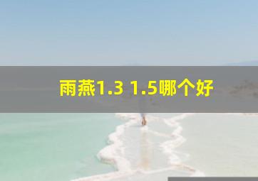 雨燕1.3 1.5哪个好